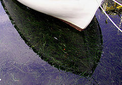 фото "Boat II"
