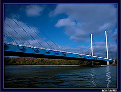 photo "the bridge"