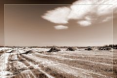 photo "Field"