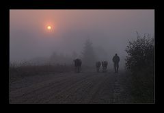 photo "shepherd"