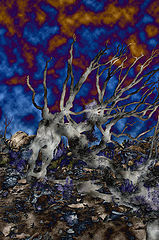 photo "ghost landscape"