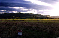 photo "Verila"
