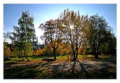 photo "Fall mood"