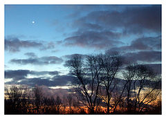 photo "Rise of the morning star"