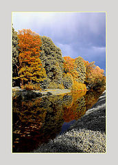 photo "water has the color"