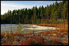 фото "Forest lake"
