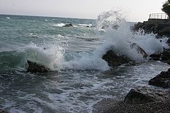 photo "Storm"