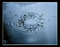 фото "###"