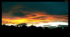 фото "sweet dreams"