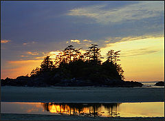 photo "low tide"