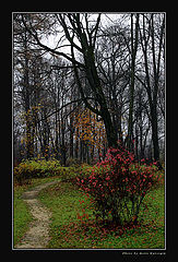photo "Contrasts of late autumn"
