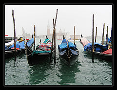 фото "At the docks #2"