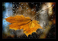 фото "Untitled"