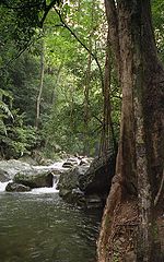 фото "Thailand - Kaeng Krachan 3"