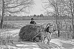 photo "Winter"