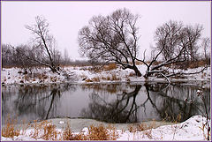 фото "Снежный ноябрь"