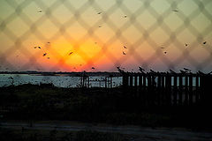 фото "sunset in EL Mezquital"