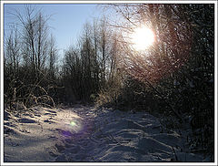 фото "Winter bliss"