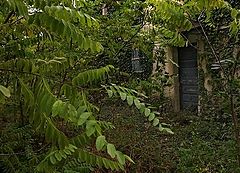 фото "The secret place"