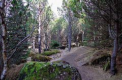 фото "Oskjuhlid III"