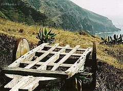 фото "Ponta do Pargo"