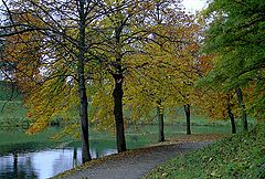 фото "AutumnIII"