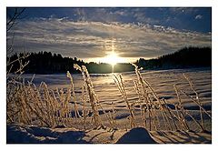 photo "Cold winter mood at Dragvoll"