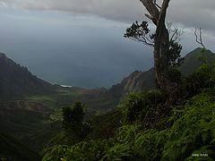 фото "Kalalu Valley, Kauai, Hawaii"