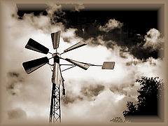 фото "to the wind"