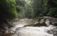 фото "Thailand - Kaeng Krachan 4"