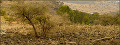 photo "the Holy Landscape"