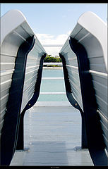 фото "Cyans"