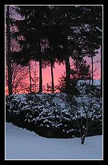 фото "Early this morning"