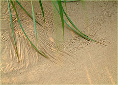 photo "The letters"