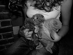 photo "Untitled photo"
