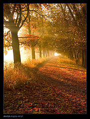 photo "odra 2"