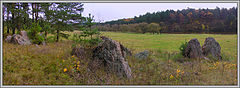 photo "stones"