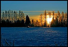 фото "Cold morning"