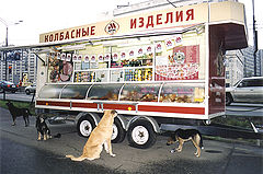 photo "dogs&hotdogs"