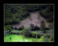 photo "hayfield"