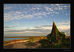 фото "Better days will come"