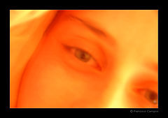 фото "(no title)"