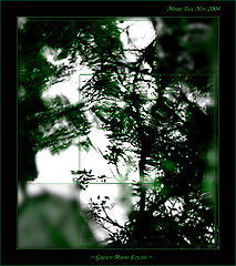 photo "Green Mood Etude"