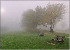 photo "November mood"