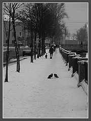 фото "городской сюжет"
