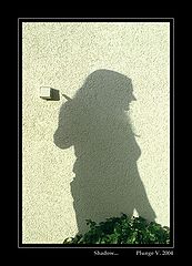 photo "... shadow ..."