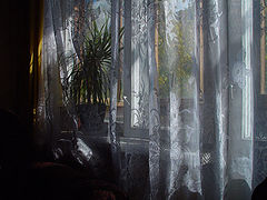 photo "Untitled photo"