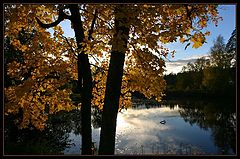 photo "Untitled photo"