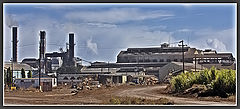 фото "Paradise gone astray"