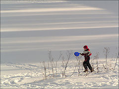 фото "Зимние прогулки"
